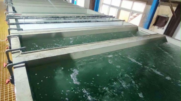 中磷化学镀镍药水
