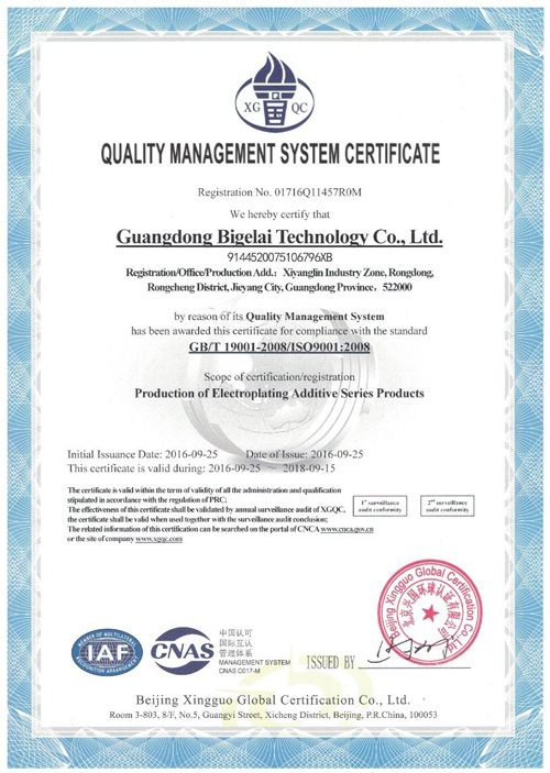 比格莱质量管理体系认证证书（英文）
