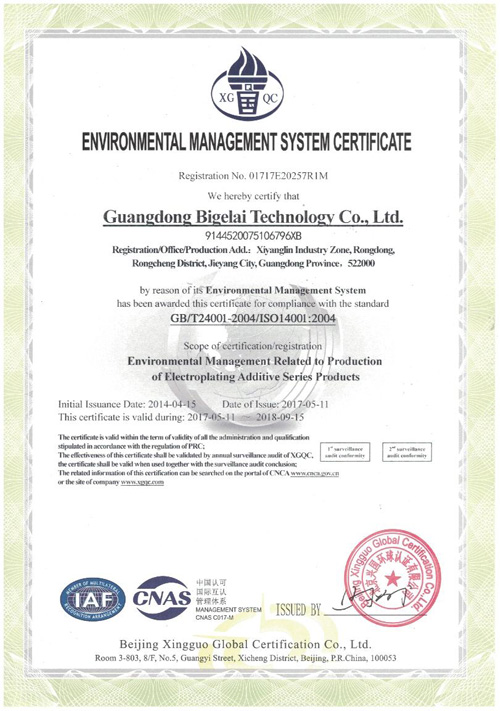 比格莱环境管理体系认证证书（英文）