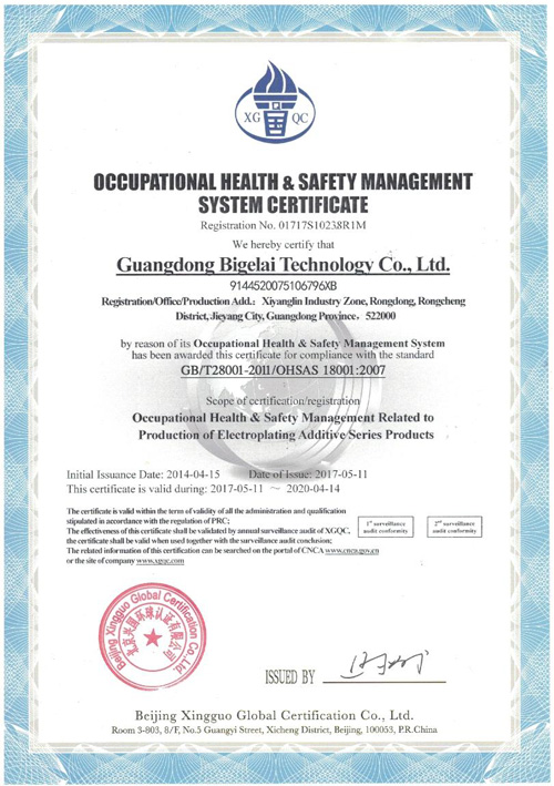 比格莱职业健康安全管理体系认证证书（英文）