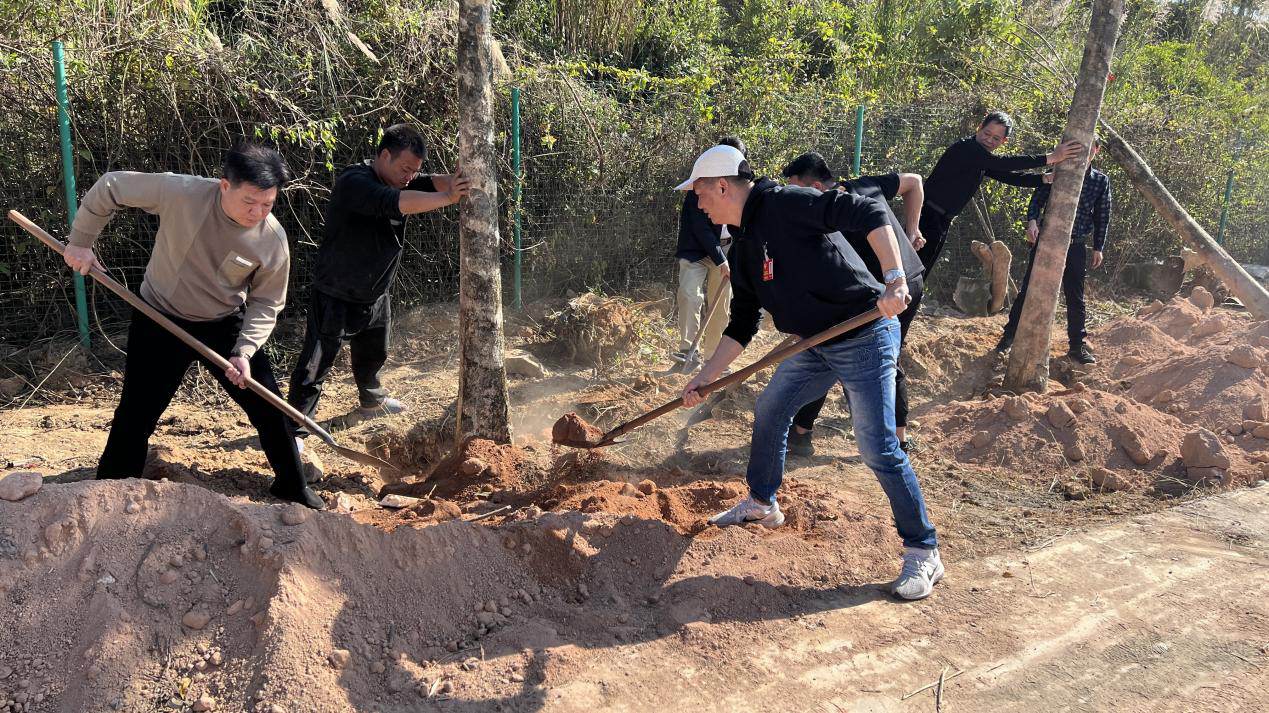 比格莱参加“我为家乡种棵树”活动，书写绿色发展新篇章