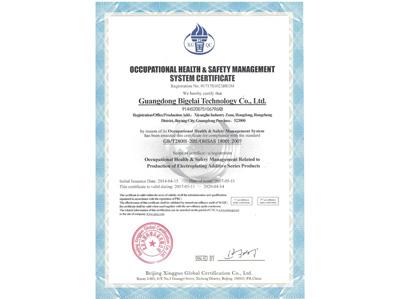 比格莱职业健康安全管理体系认证证书（英文）